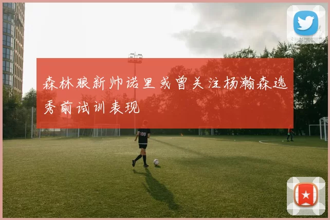 森林狼新帅诺里或曾关注杨瀚森选秀前试训表现