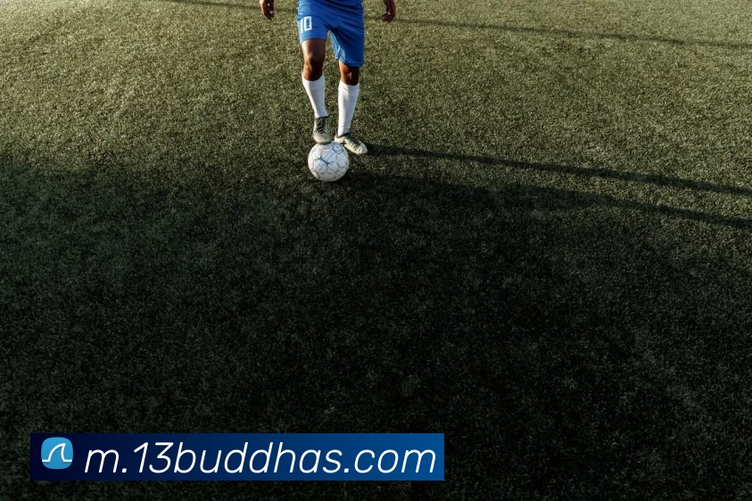 未来规划